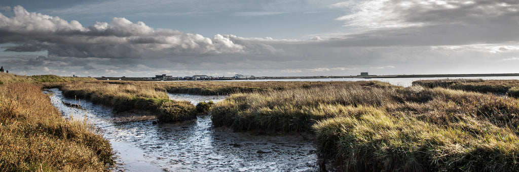 The River Alde