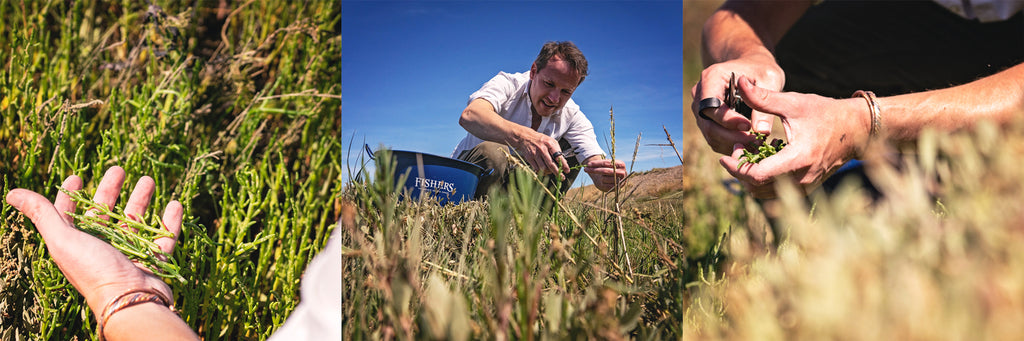 Foraging along the River Alde