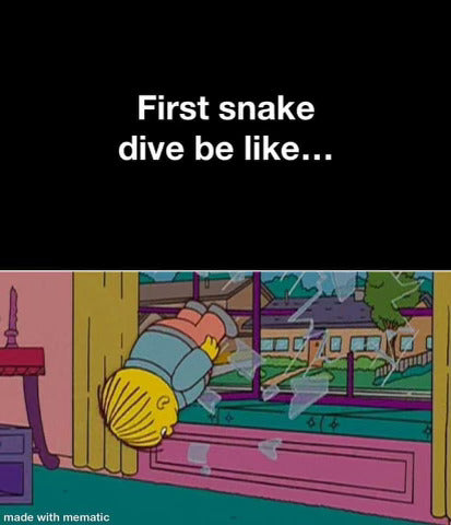ralph wiggam snake dive paintball meme