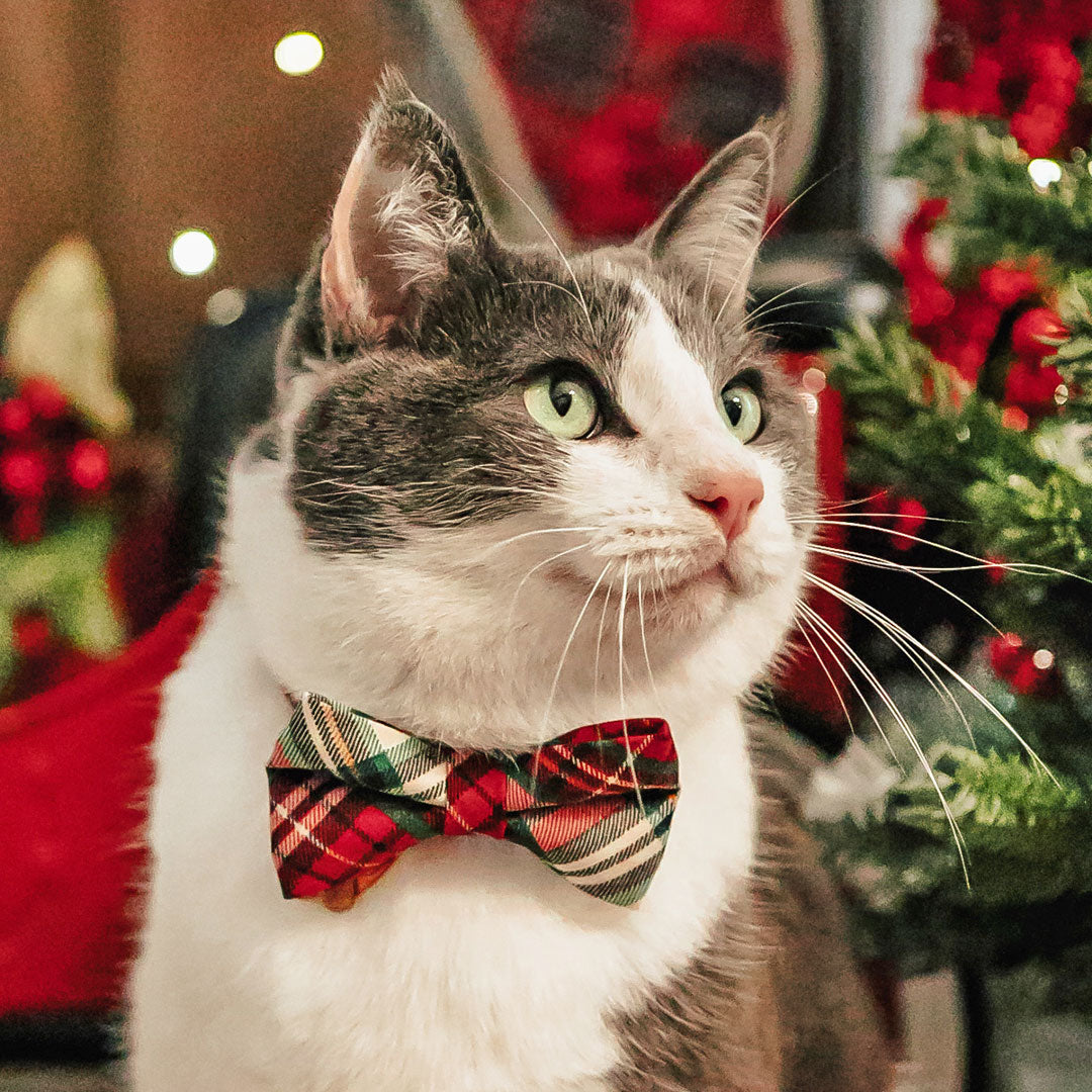 Holiday Cat Collars, Bow Ties & Bandanas - Christmas, Winter, Hanukkah Styles