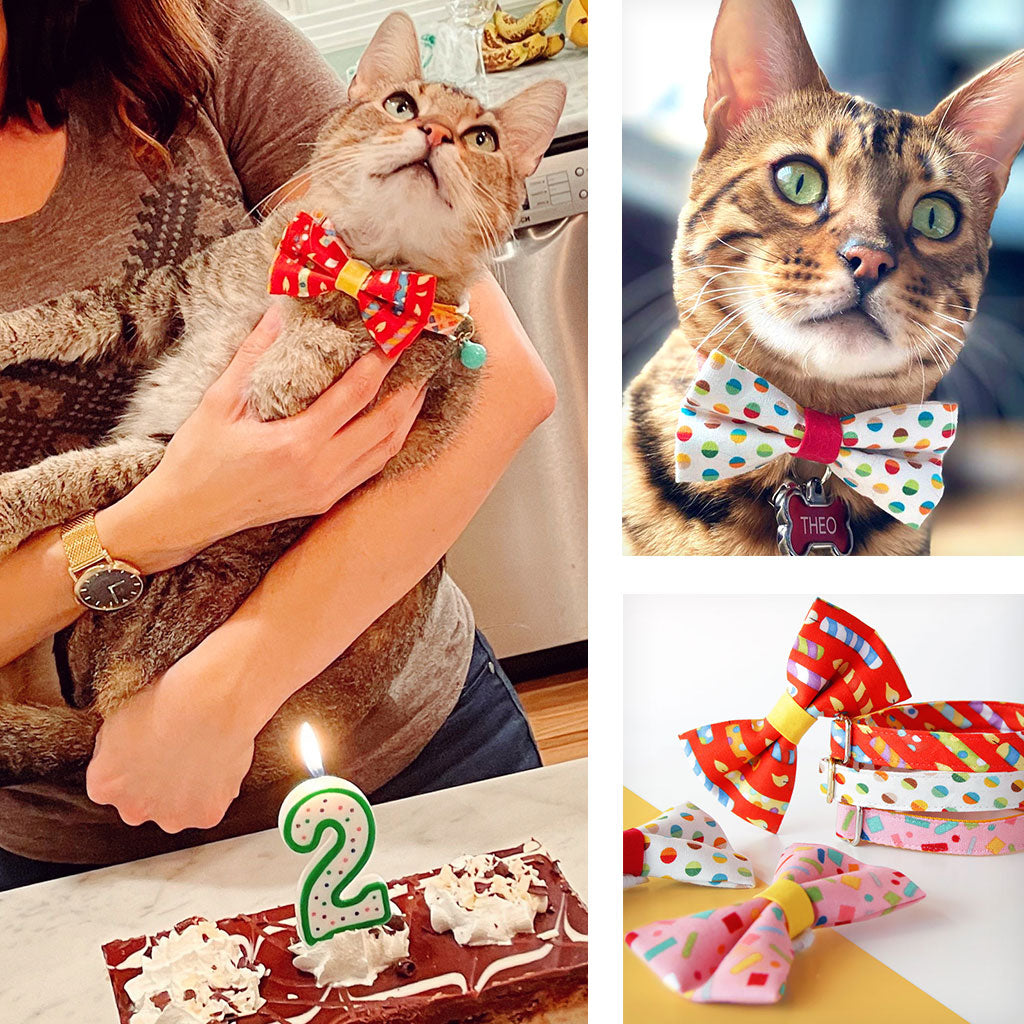 Birthday Cat Collars, Bow Ties, Bandanas & Accessories