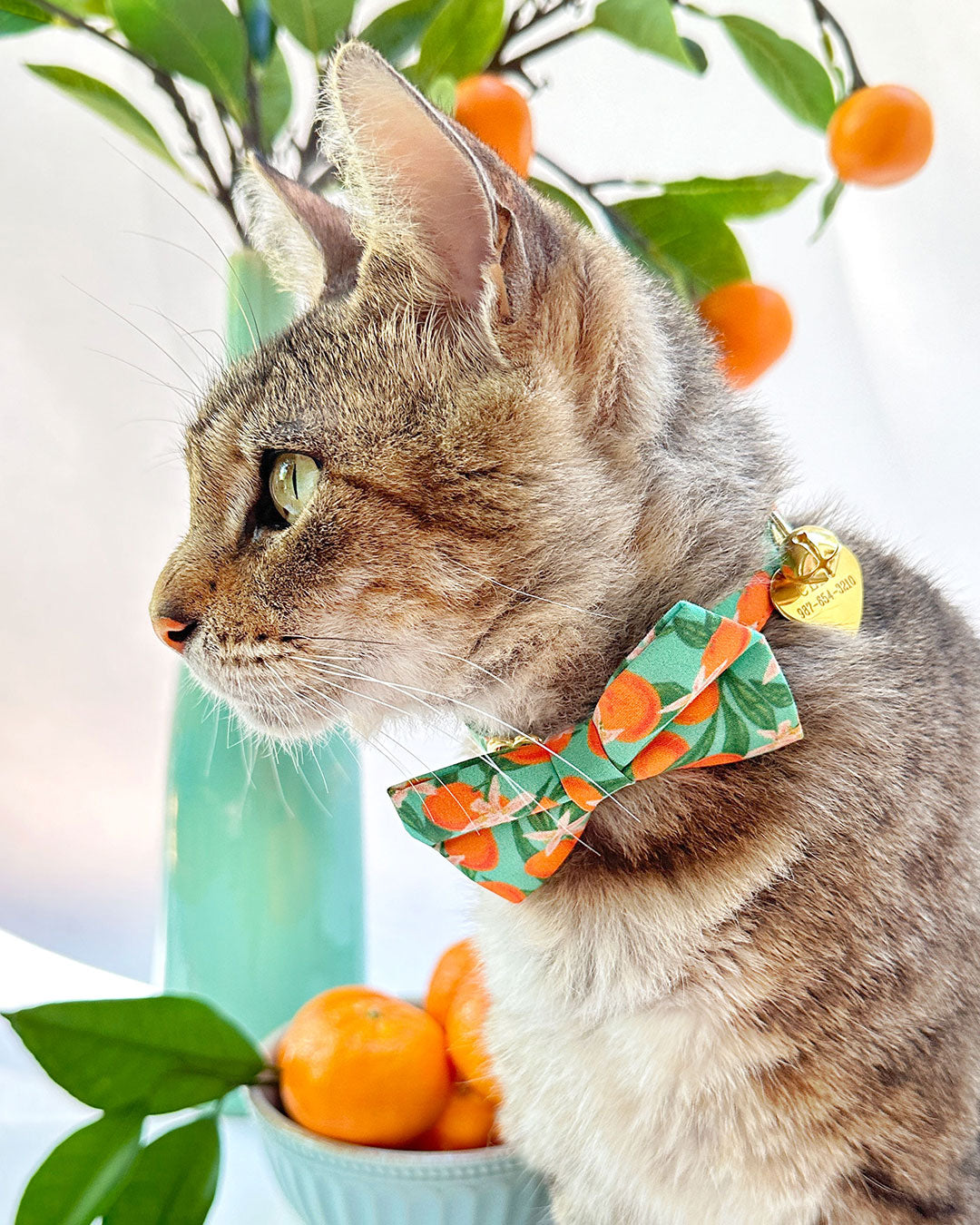 Fruit Themed Cat Collars, Bow Ties & Bandanas