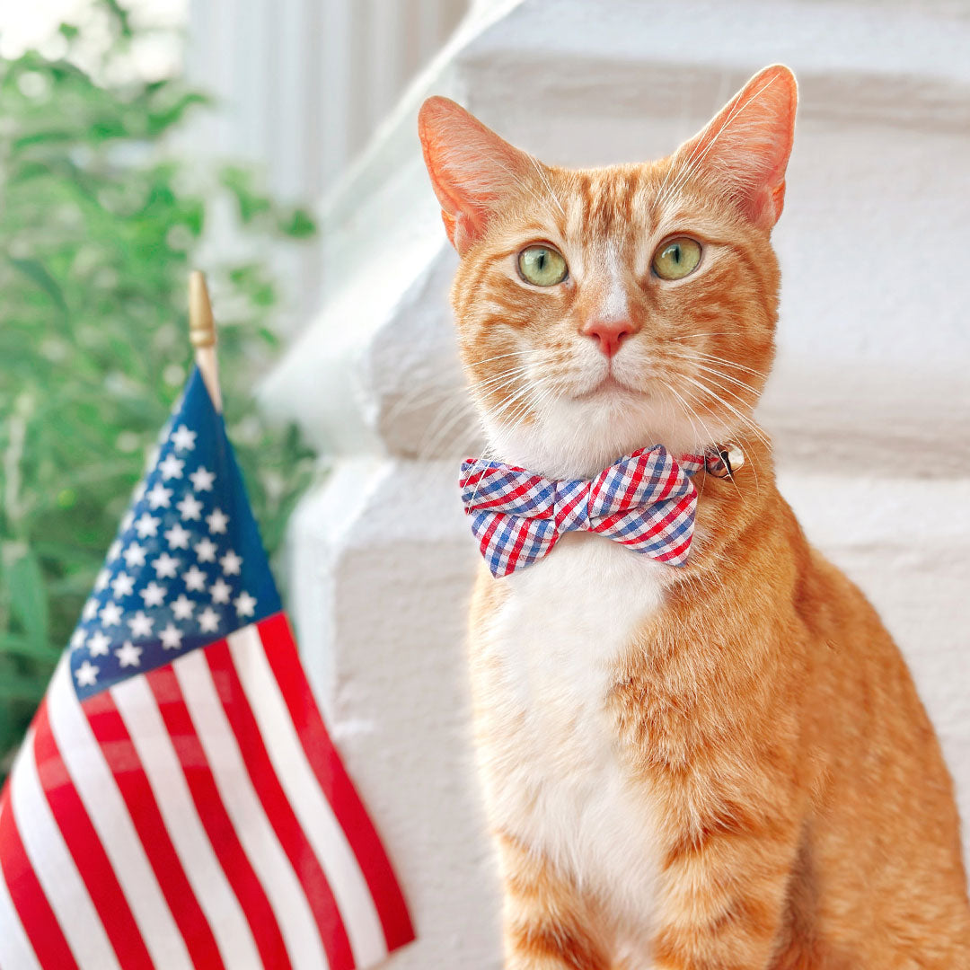 Independence Day & Patriotic Cat Collars, Bow Ties & Bandanas from Made By Cleo
