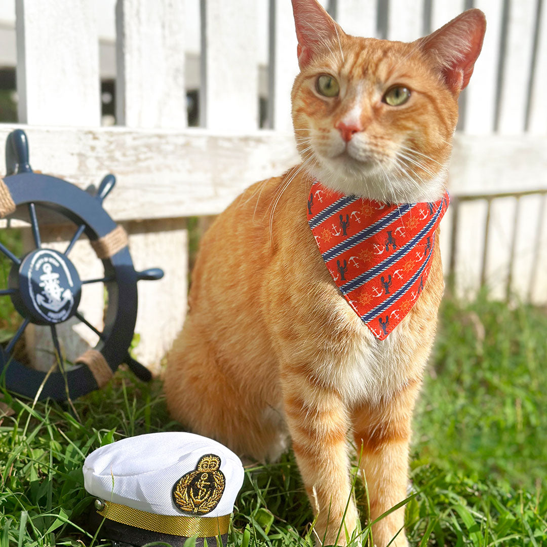 Nautical & Preppy Cat Collars, Bow Ties & Bandanas from Made By Cleo