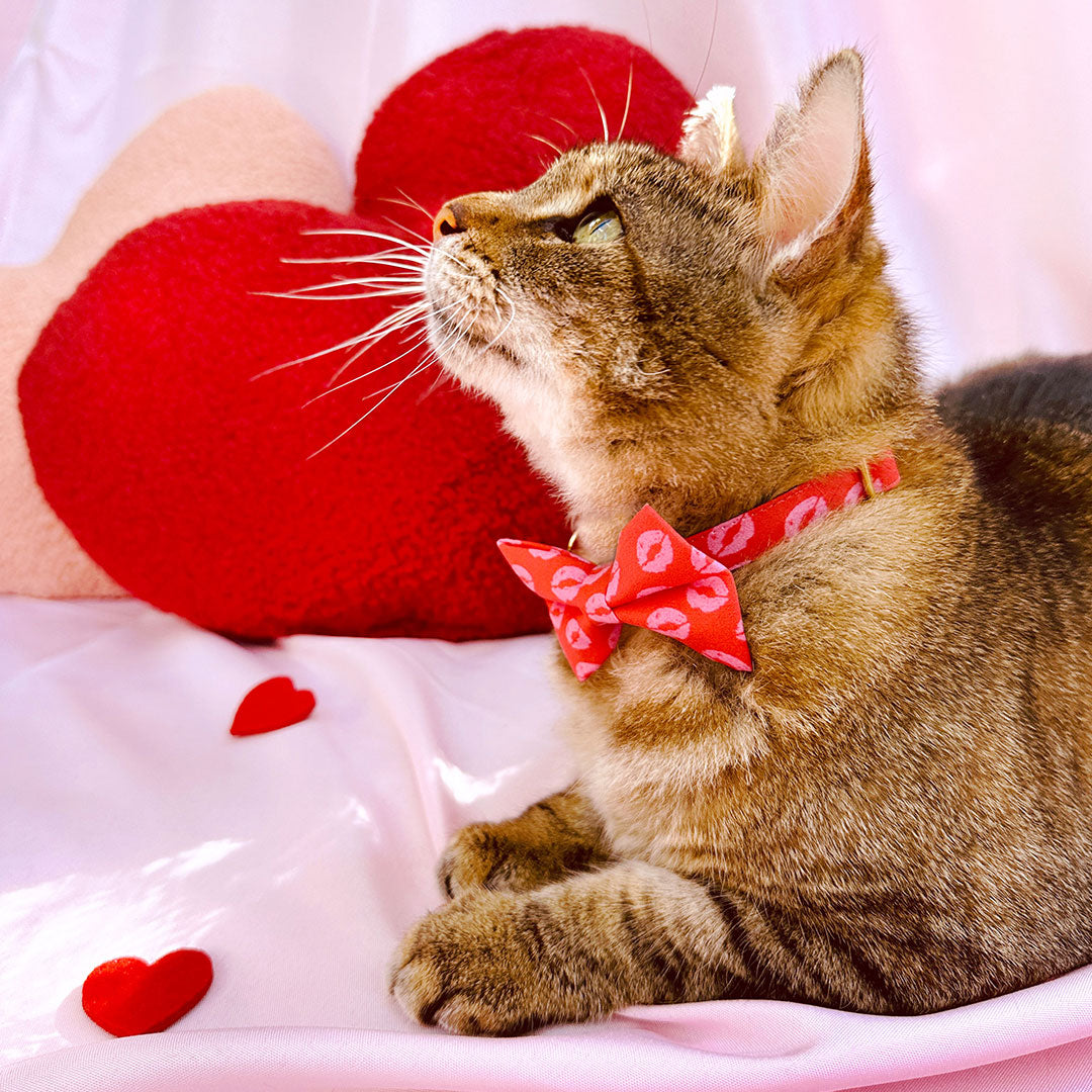 Valentine's Day Cat Collars, Bow Ties, Bandanas & Accessories from Made By Cleo
