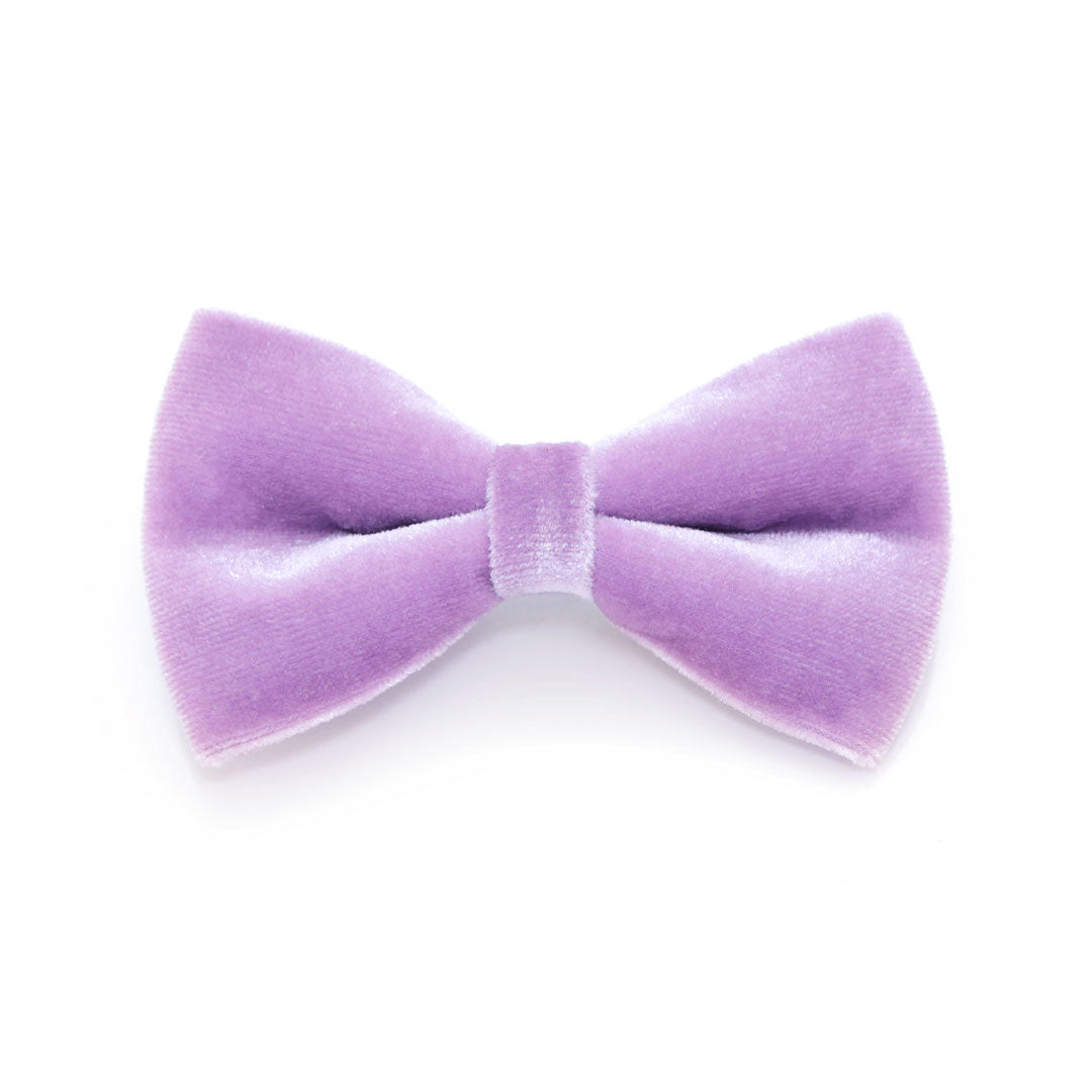 Pet Bow Tie - "Velvet - Lavender" - Light Purple Velvet Bowtie / Wedding / For Cats + Small Dogs / Removable (One Size)