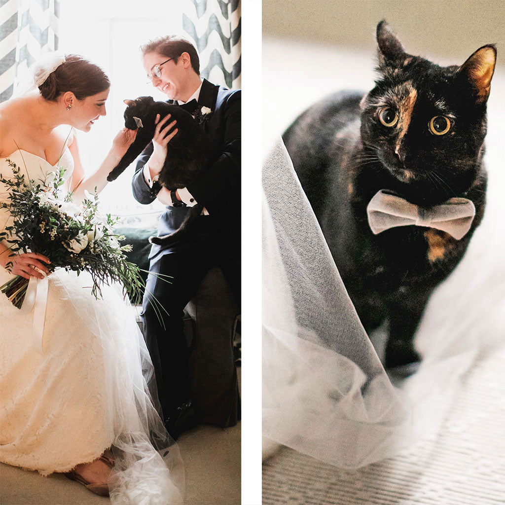 Wedding Cat Collars, Bow Ties, Bandanas & Accessories