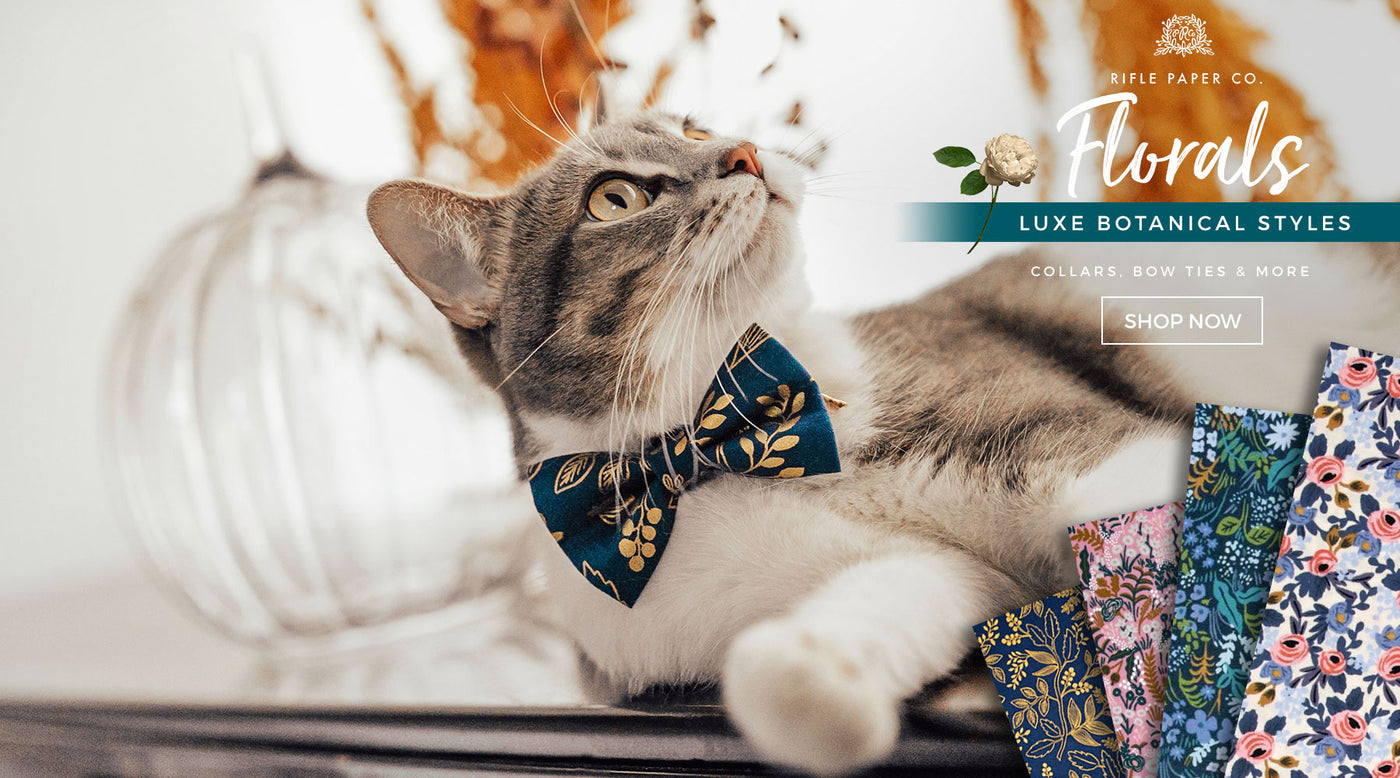 luxury designer cat collars