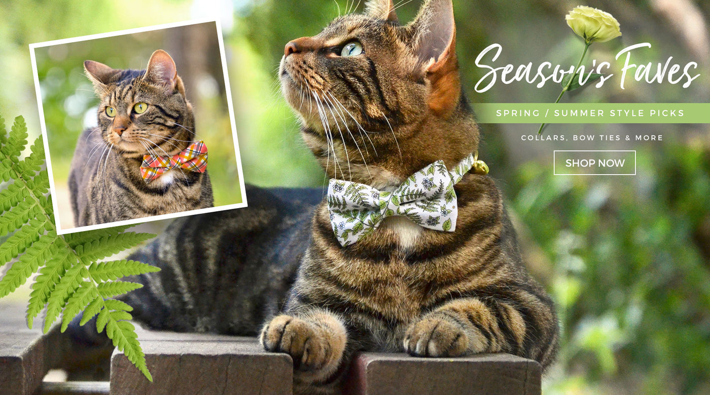 Stylish Unique Cat Collars Cat Bow Ties And Personalized Id Tags