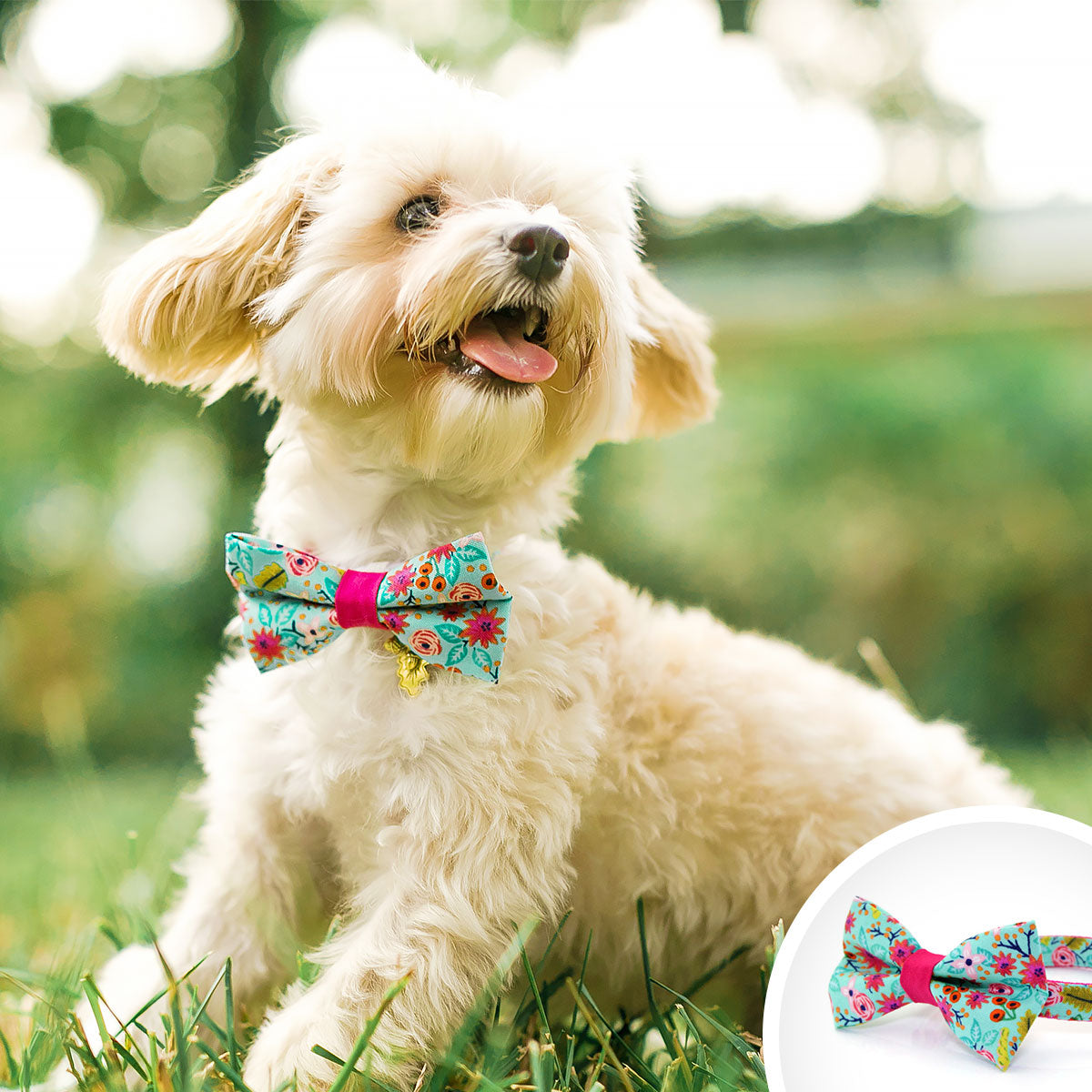 small dog bow tie