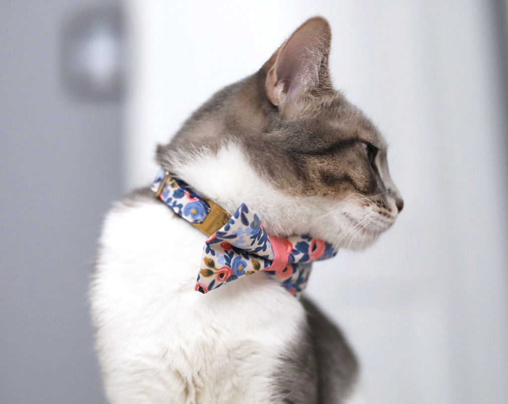 cat collar necktie