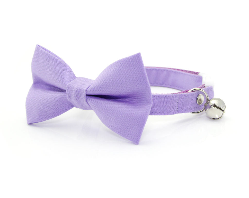 lilac cat collar