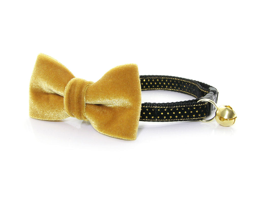 black and gold bow tie