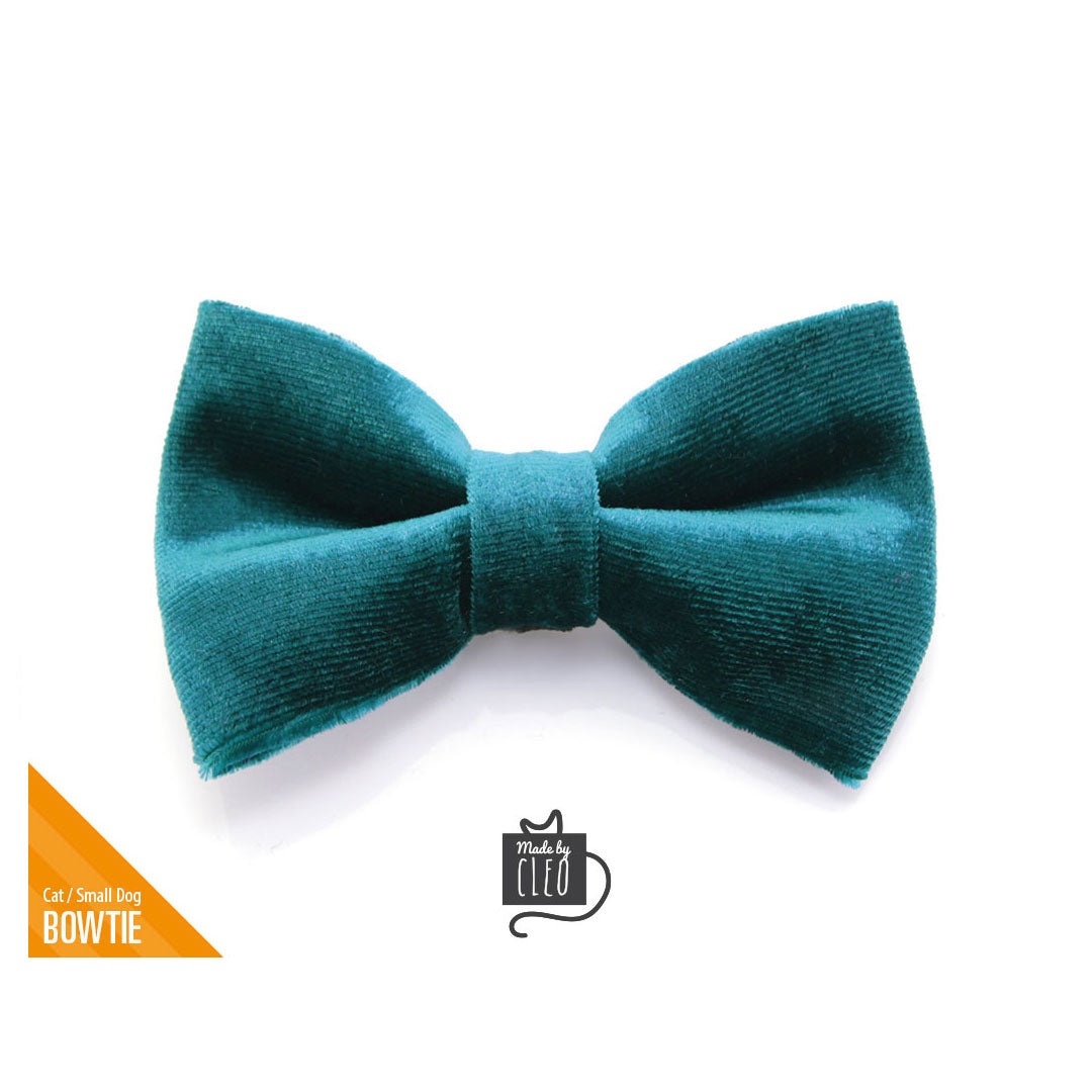 teal dog bow tie