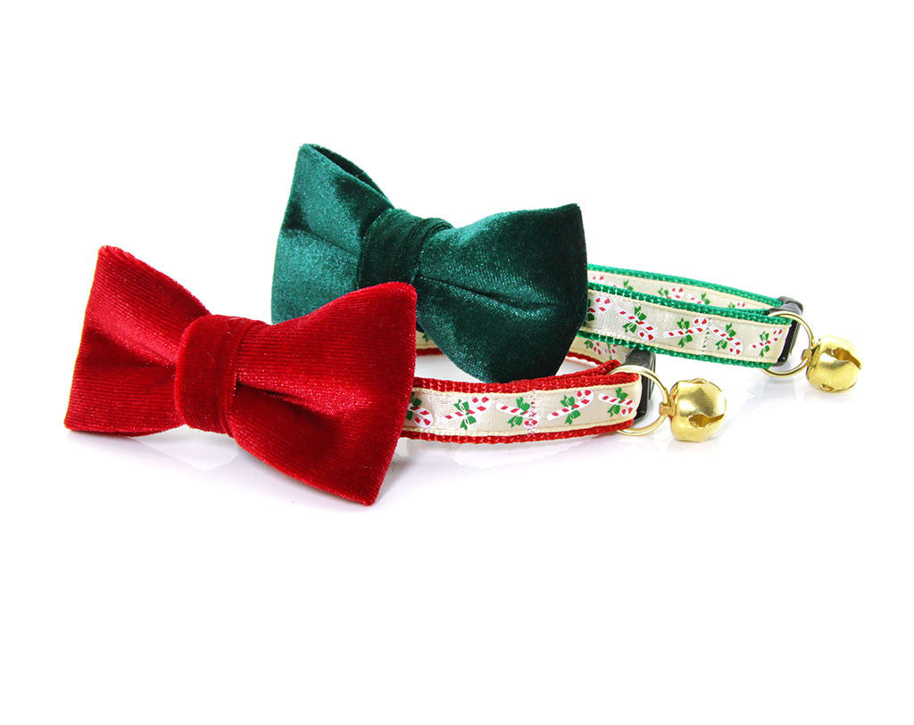 festive cat collars