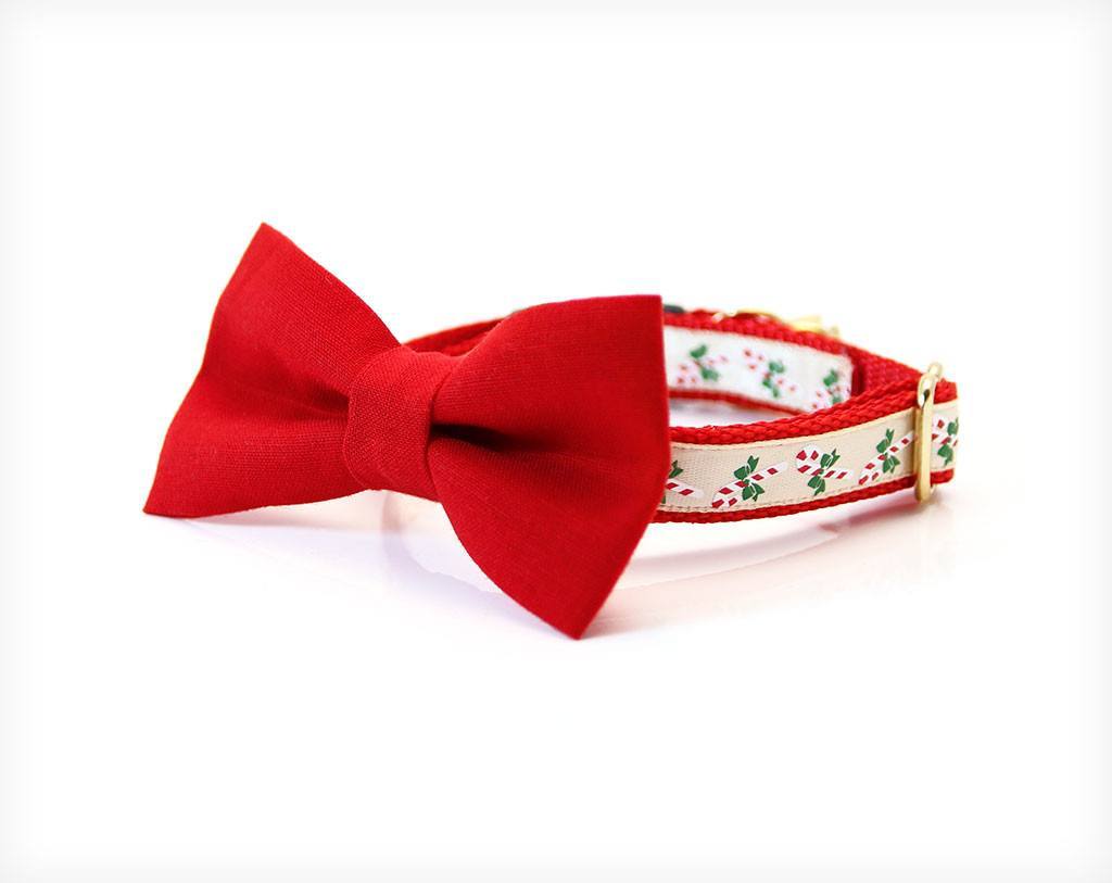 red bow tie collar for cats