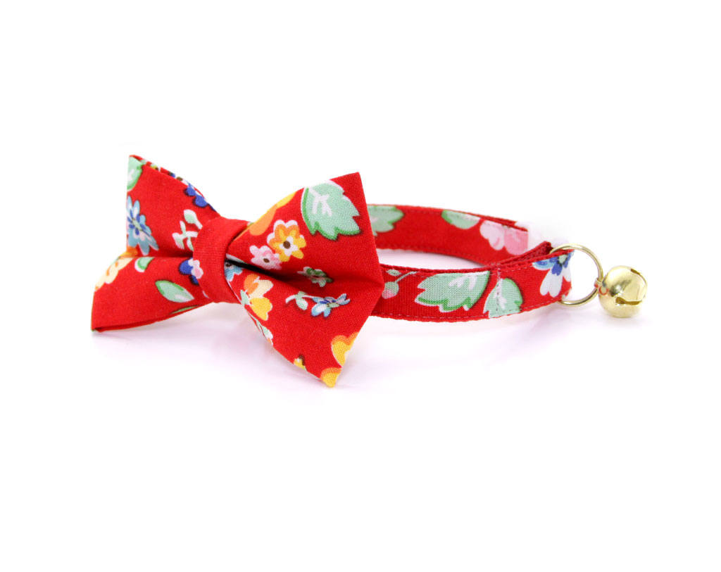 girl dog collars with bows