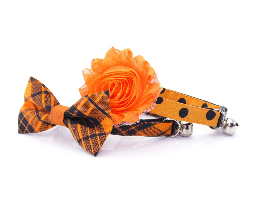 orange bow tie dog collar