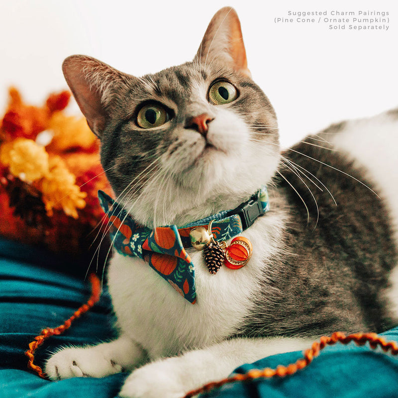 cat calming collar breakaway