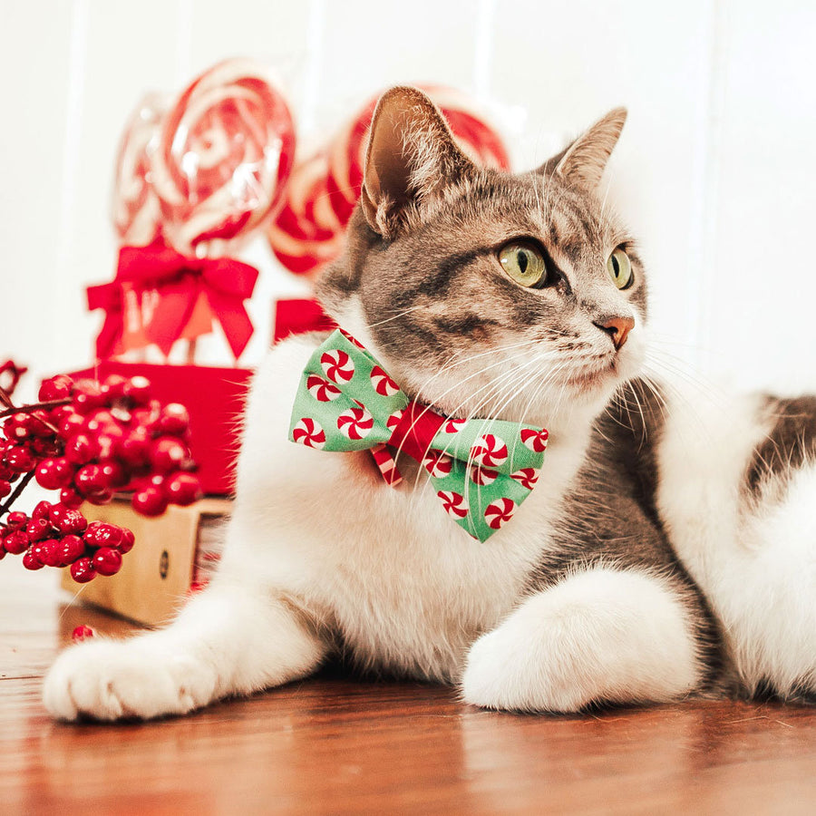 Holiday Cat Collars - Made By Cleo