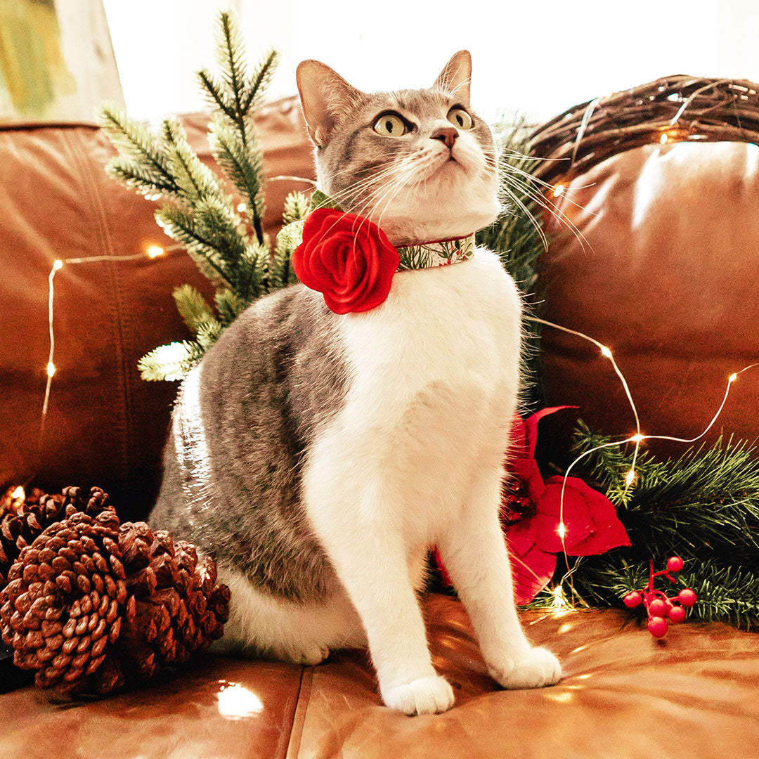 christmas breakaway cat collars