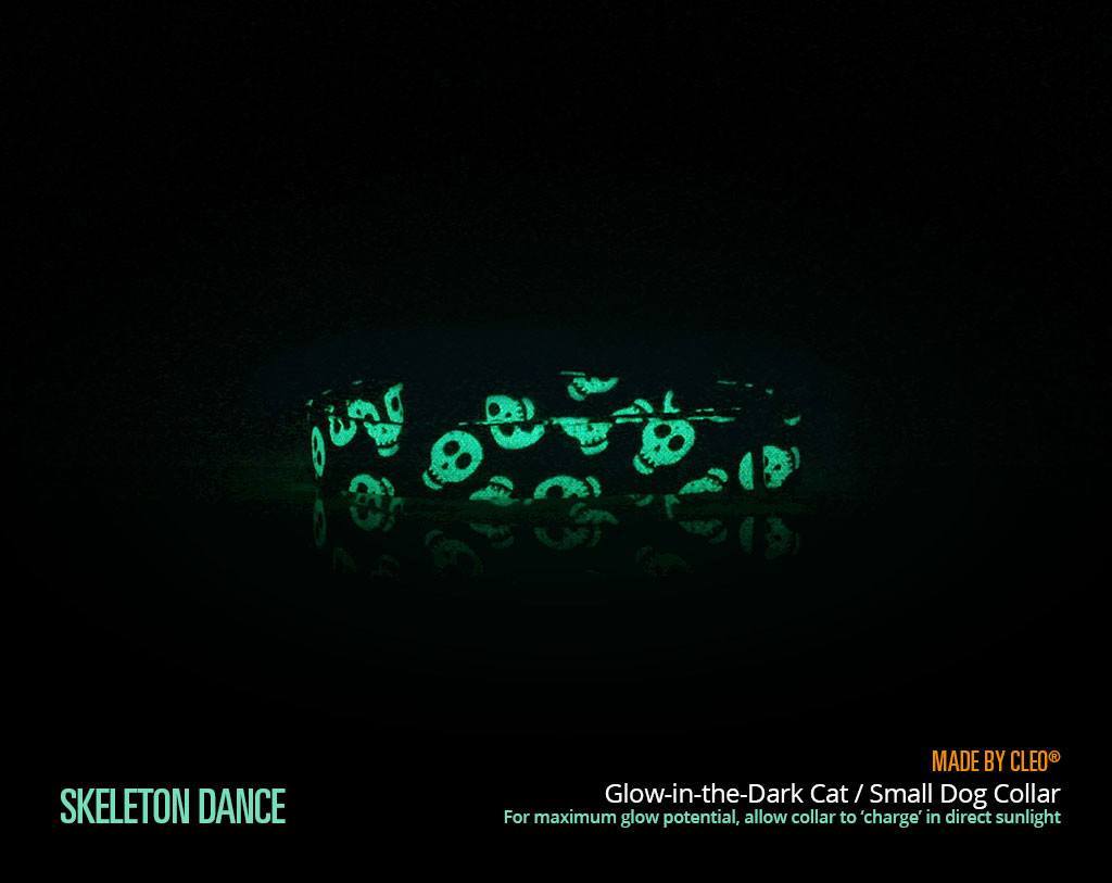glow cat collar
