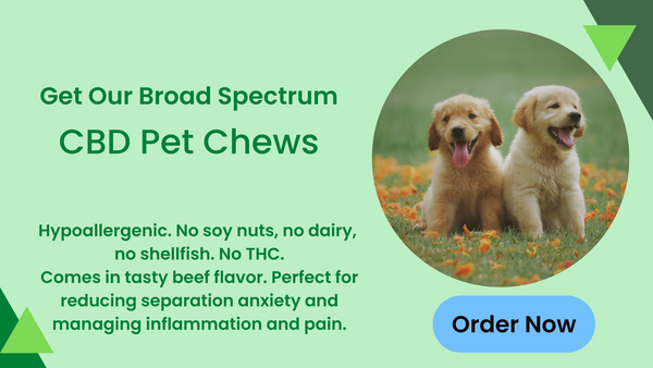 pet chews CBD oil for dogs near me