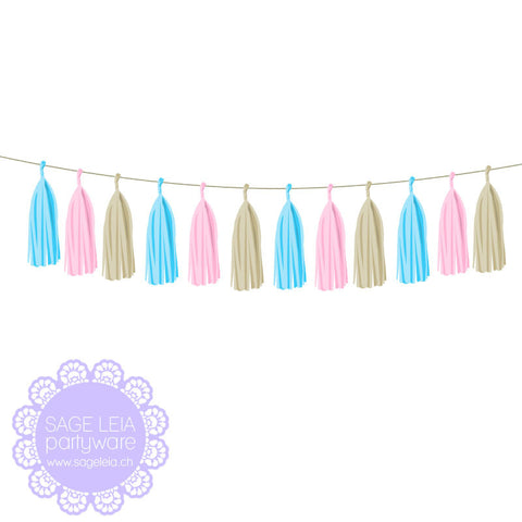 pink and blue tassel garland