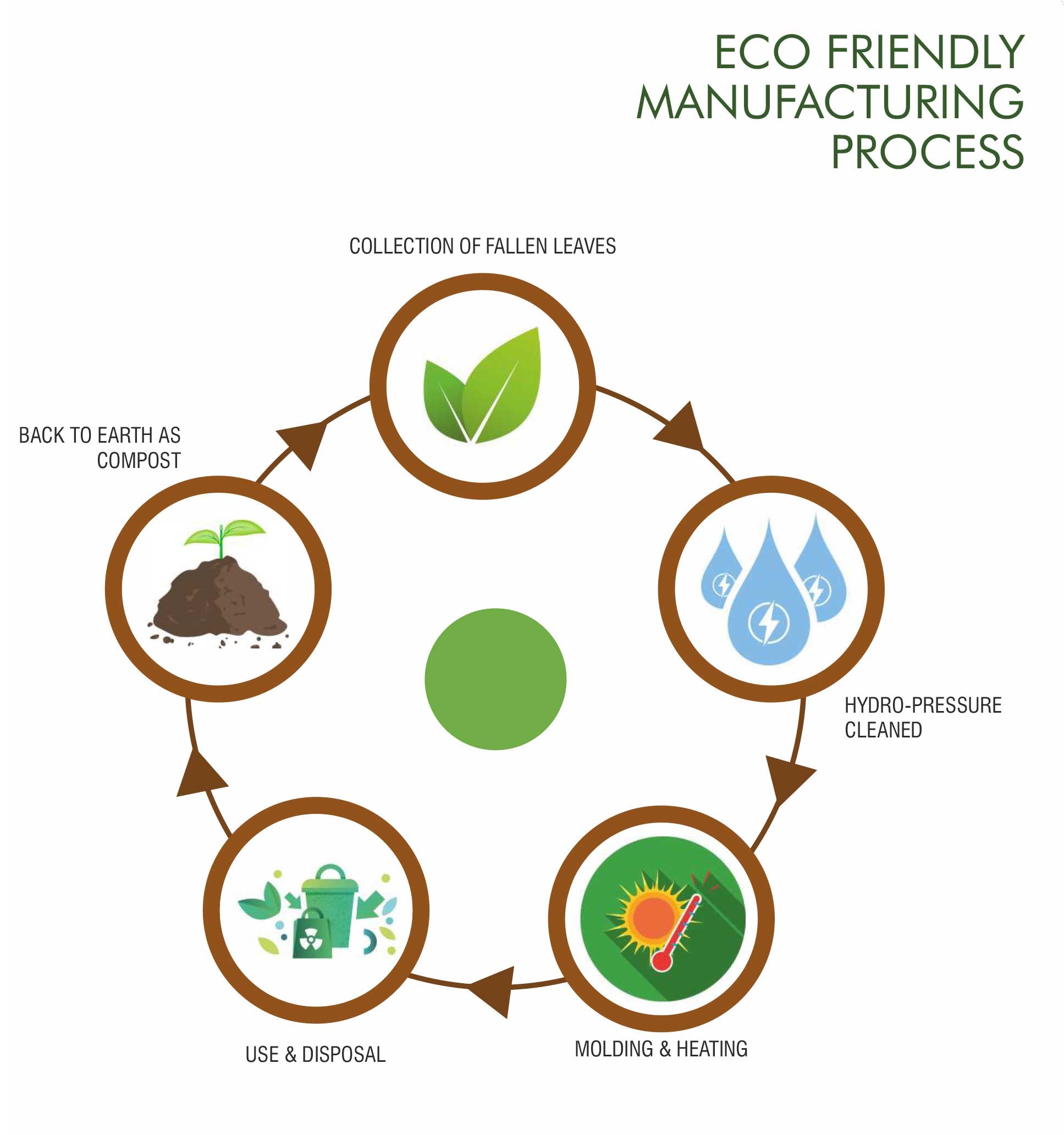 Palm Leaf Plates | Manufacturing Process | Malurra Palm