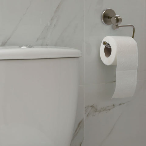 a nickel toilet roll holder