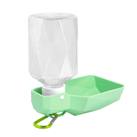 portable water bottle