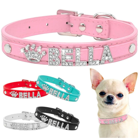 personalized chihuahua collar