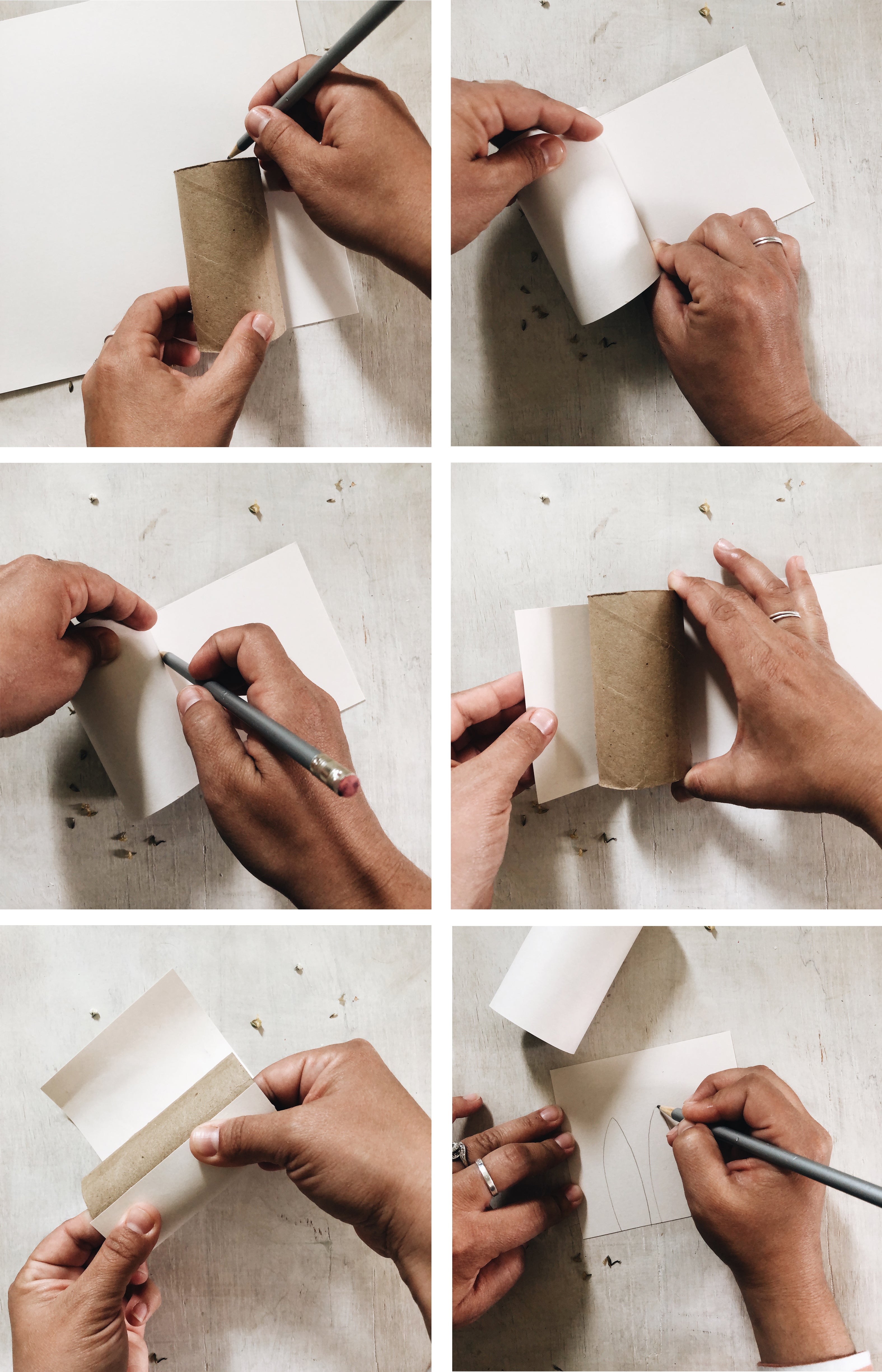 toilet paper roll diy step by step