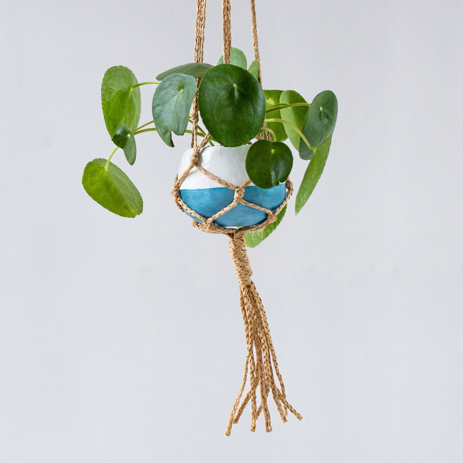 chunky cotton and copper macramé plant hanger kit — cocoon&me