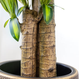 Designer Choice•Juego de plantas y macetas B-Elite-Palm & Happy Plant con extra – ECOTREE AU - Plantas artificiales de diseño premium para el hogar y la oficina