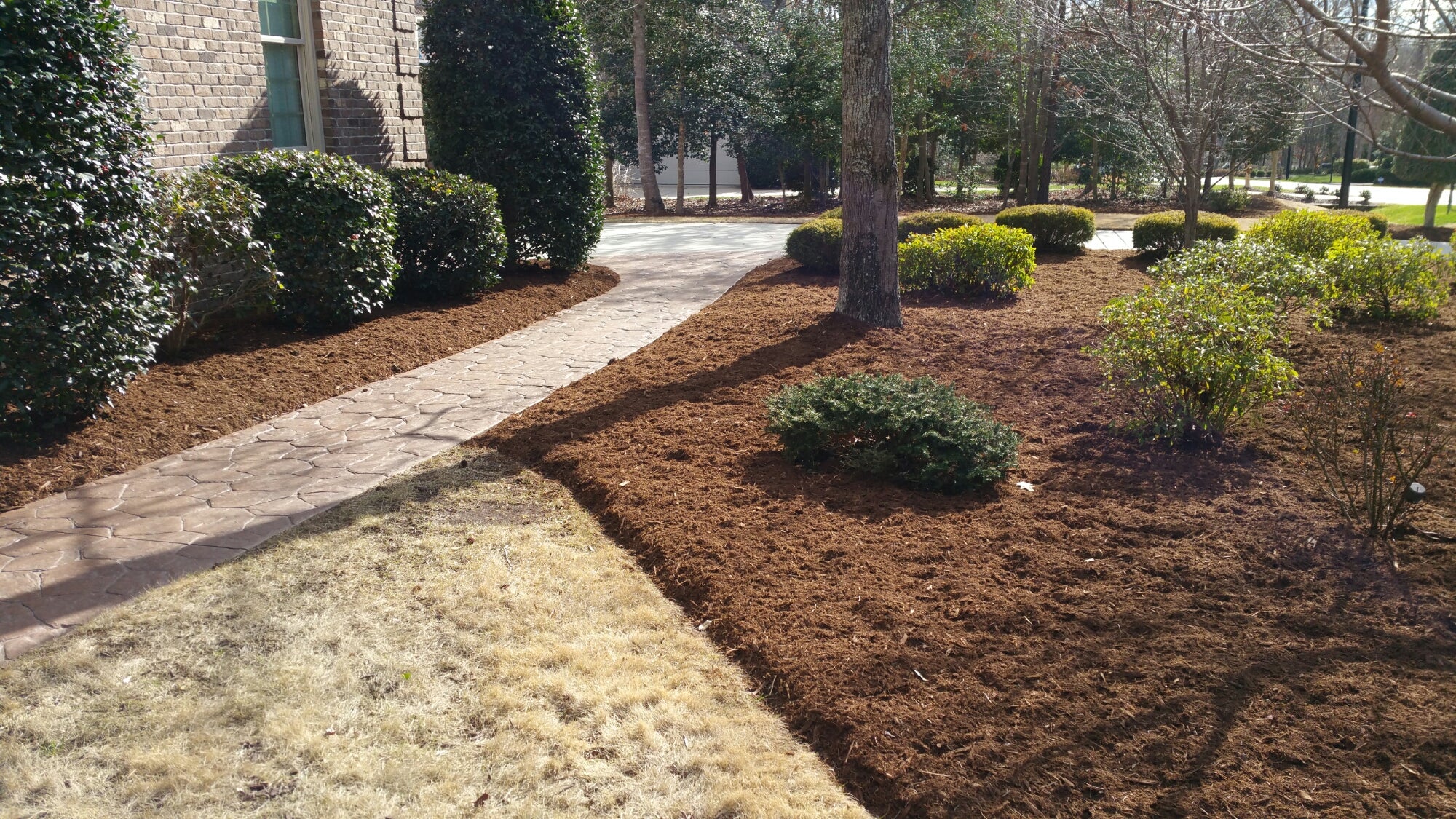 MULCH -- Dyed Black – Green Roof Supply