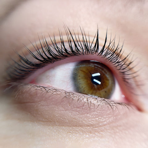 Close-up of natural eyelashes after a lash lifting treatment