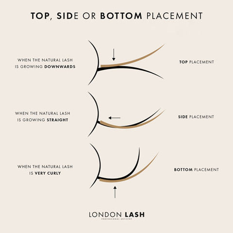 Diagram for Lash technicians on the correct placement of lash extensions on individual lashes