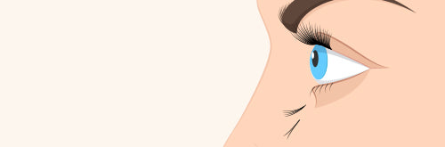 Why Your Eyelash Extensions Don't Last!