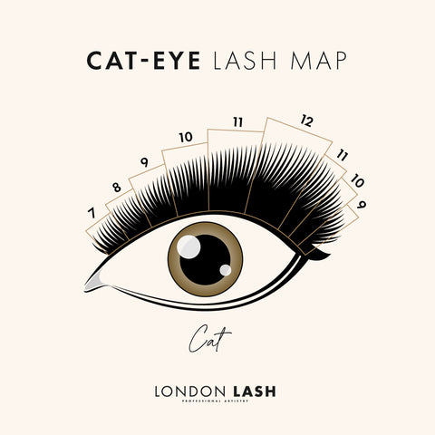 Lash map for Cat Eye Lashes