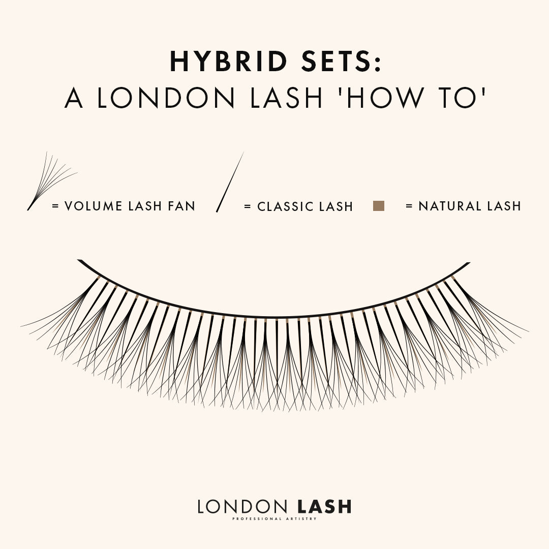 London Lash Infographic on Hybrid Lashes