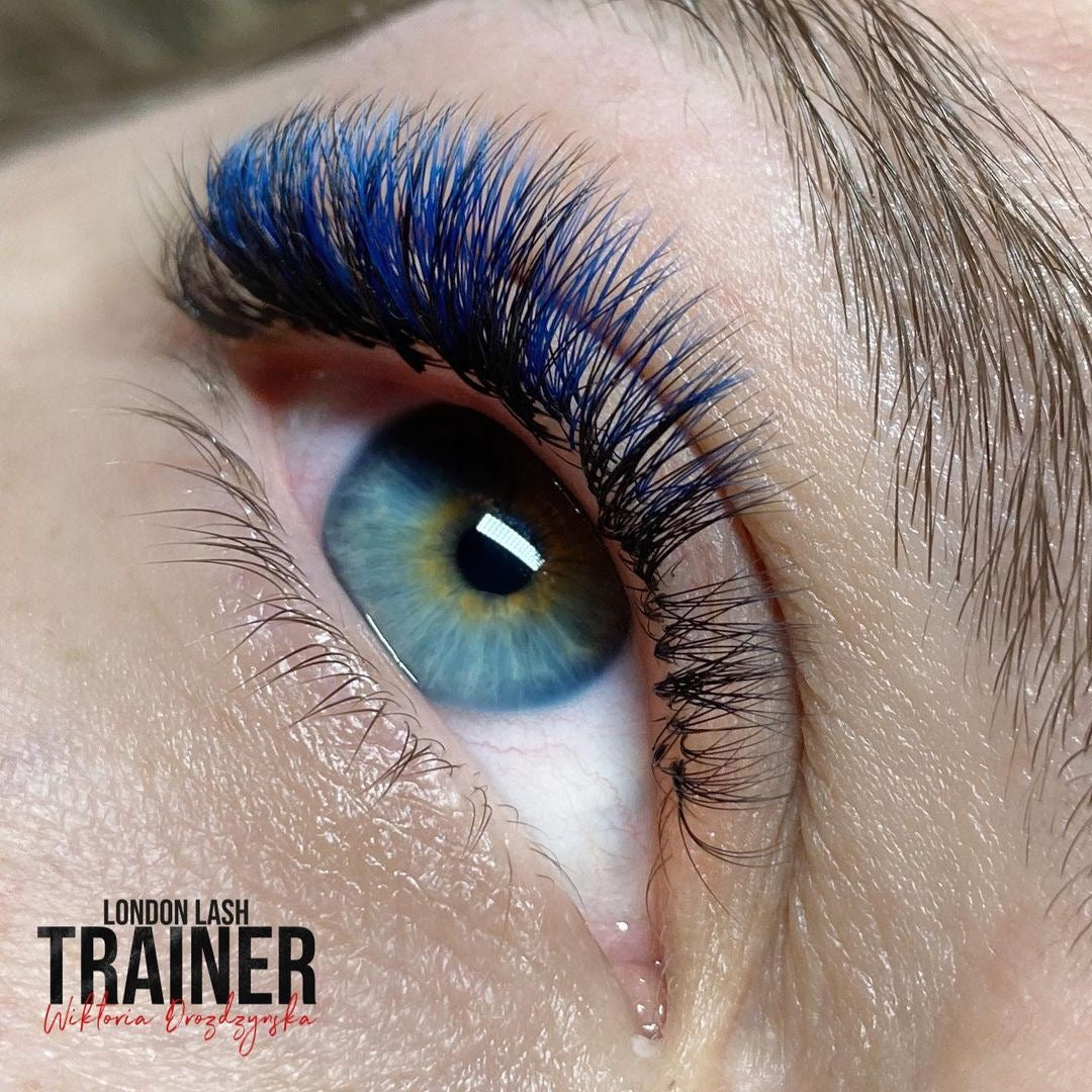 Dark Blue Lash Extensions Placed In The Middle Layer of the Natural Lashes