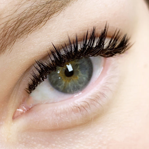 Close-up Volume lashes eyelash extensions