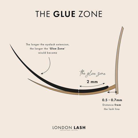 The eye lash glue zone on a lash fan for Volume Lashes