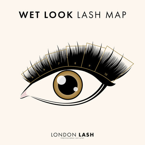 Lash map for Wet Look Lashes