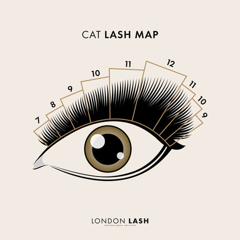 Doll Eye Lash Map, Lash Extensions