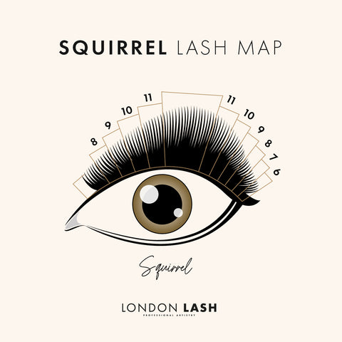 Lash map for Squirrel Lashes