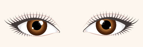 How To Choose The Correct Lash Mapping Styles for Different Eye Shapes