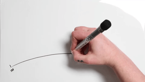 Lash Mapping GIF of Squirrel Lash Extensions