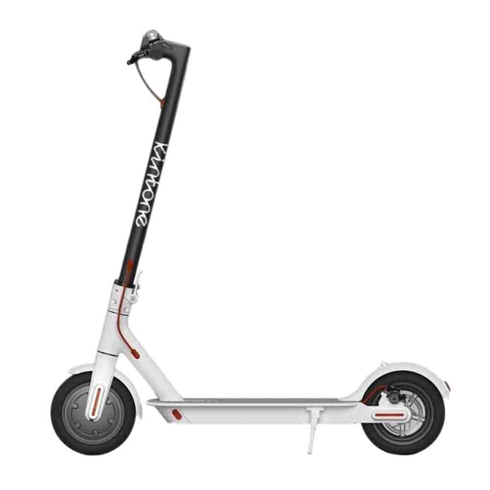 MASTERMIND KINTONE SCOOTER